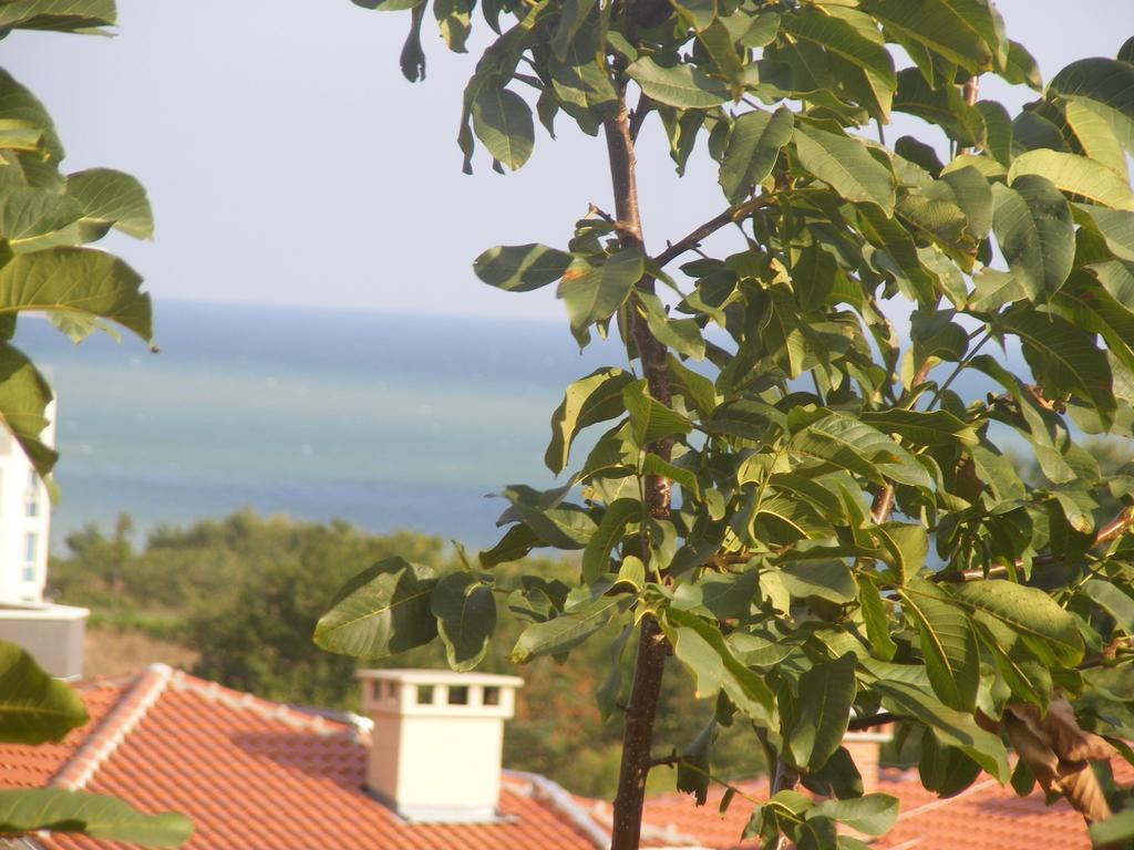 Guest House "Zora - Sarafovo" Burgas Ngoại thất bức ảnh